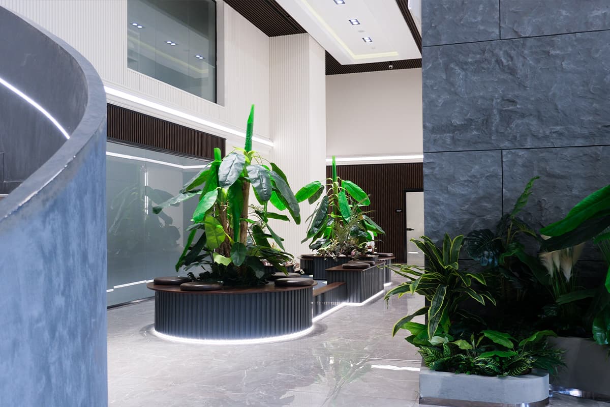 Clinic Gallery